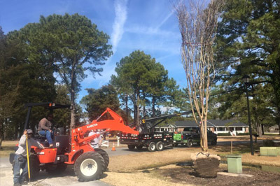 2015-Pullmann-Services-Images-Res-TreeService