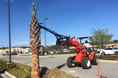 2015-Pullmann-Services-Images-Com-Treeservice